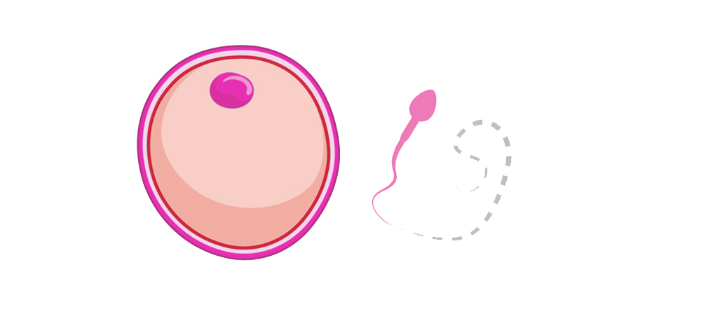 Male Infertility shreshta fertility centre